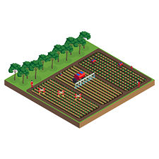 Agricultural